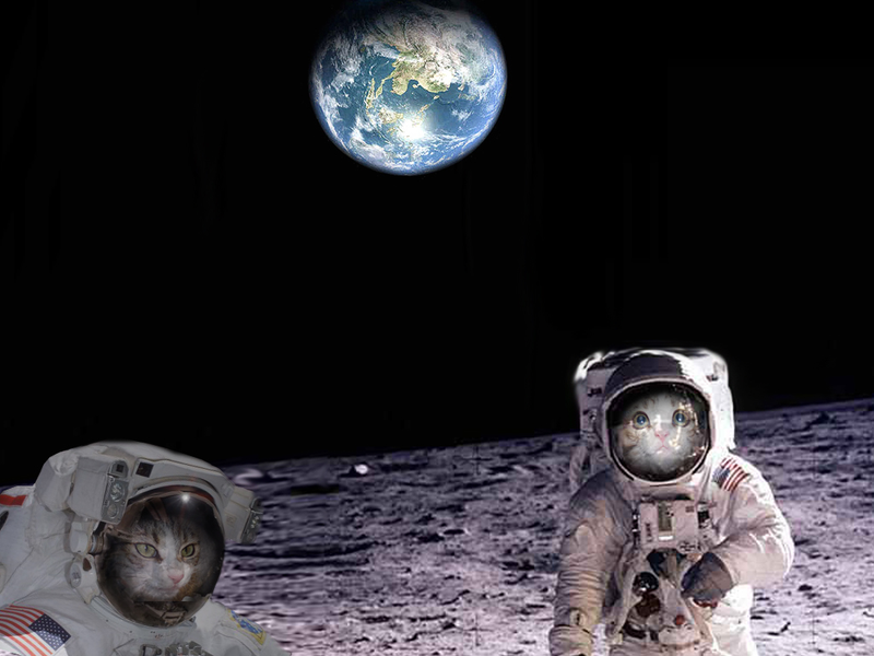Illustration for article titled My God, It's Full Of Cats! The Very Best Artwork Of Cats In Space